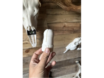 imgAnchorOrignal