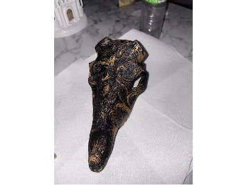imgTaxidermistesCollection